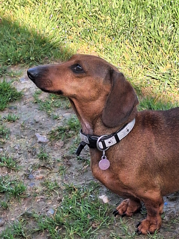 [Image: 20240322-095805.jpg]