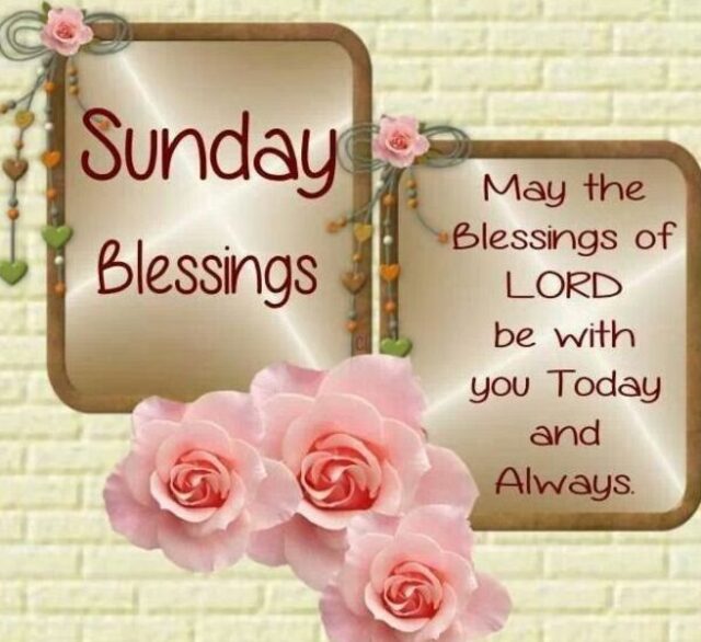 An den Beitrag angehängtes Bild: https://i.postimg.cc/pL8ByFd7/oie-1773619c9-V78-EGp.jpg