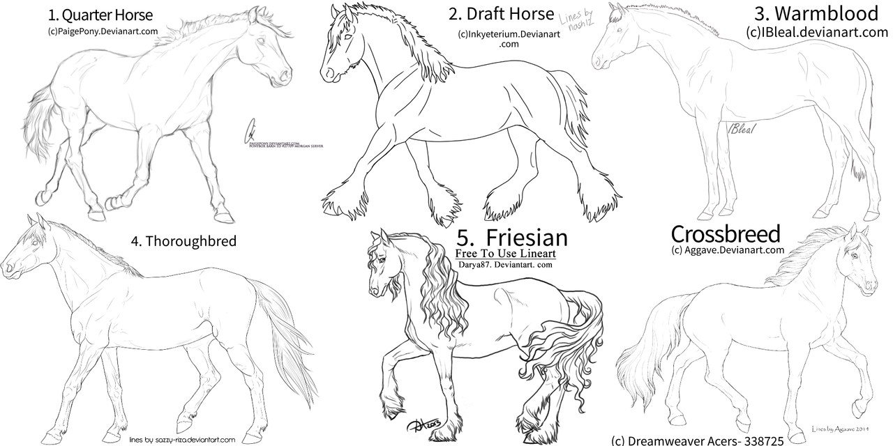 Drawing-5-sketchpad-3.png