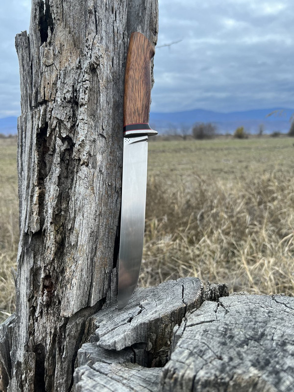 73359150-9572-4195-9088-C9310A72708F