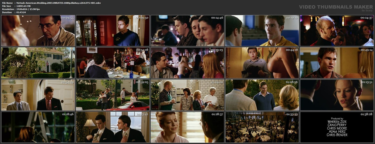 Vietsub-American-Wedding-2003-UNRATED-1080p-Blu-Ray-x264-DTS-HDC-mkv.jpg