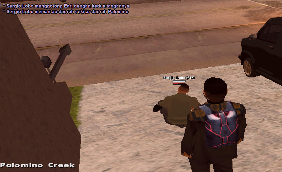 ss-10.png
