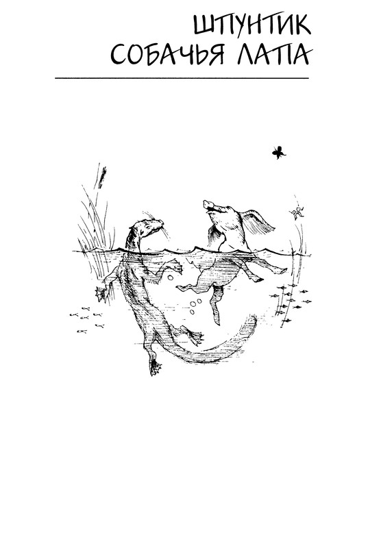 p0005