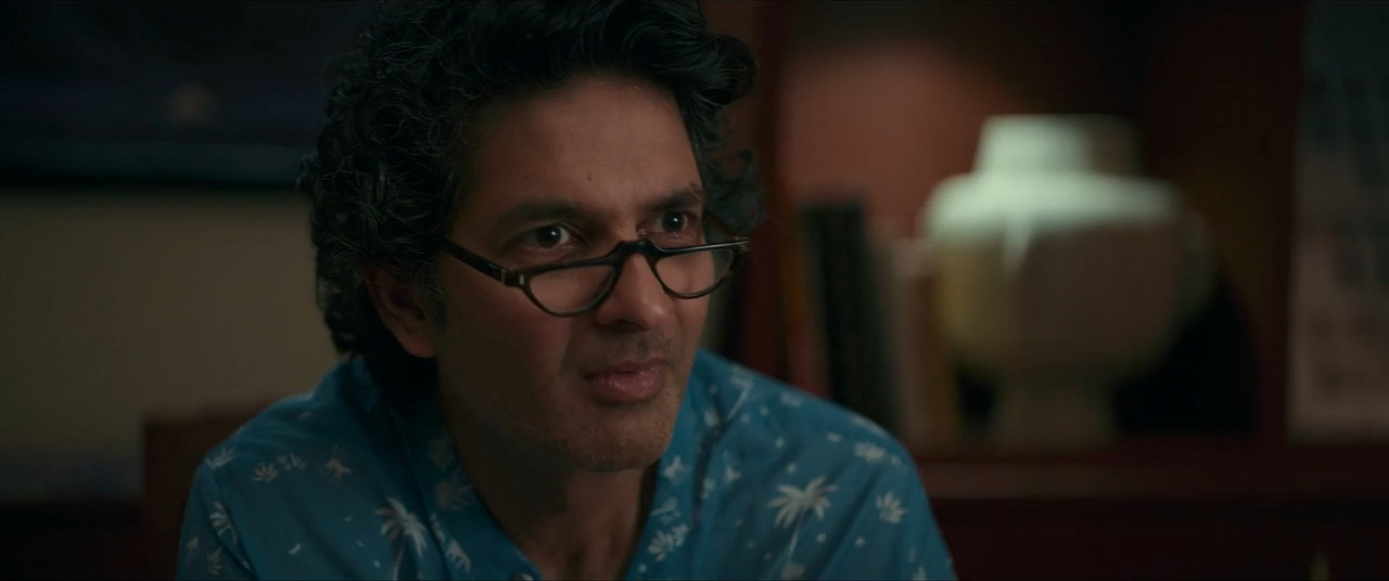 The Great Shamsuddin Family 2025 WebRip [Hindi] 480p 720p ESub Screenshot