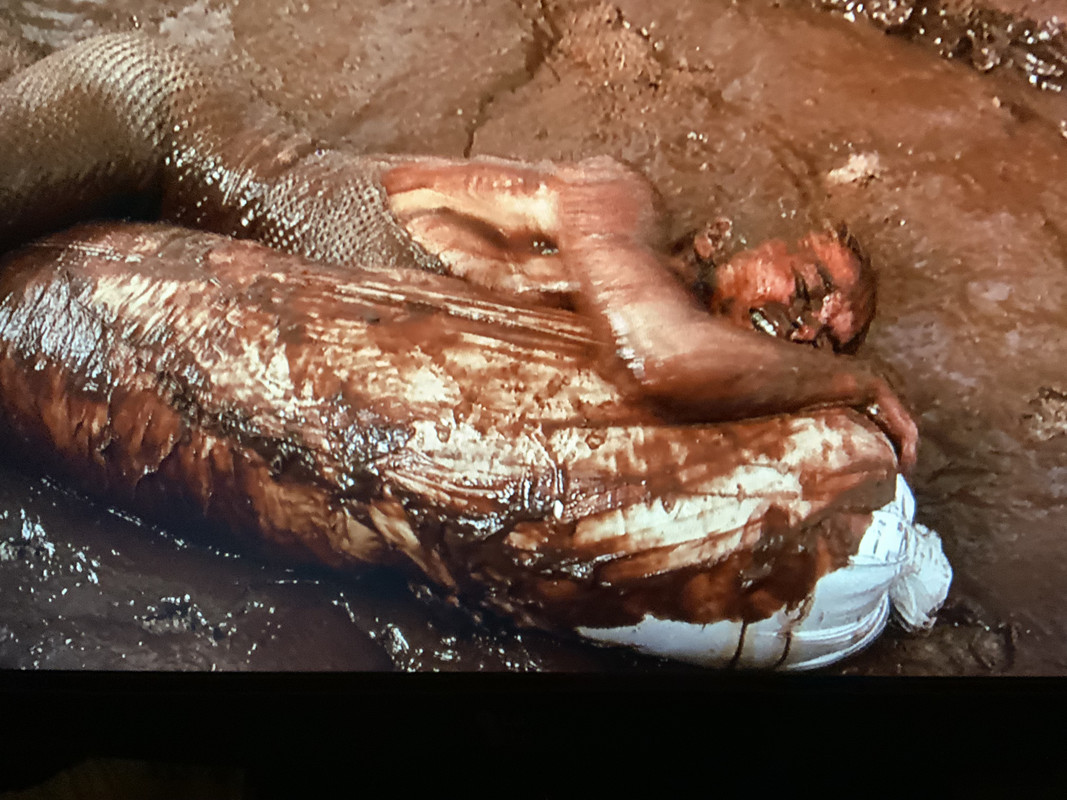 26CD9B45-6561-47FB-BACF-4D82E6BD1A14