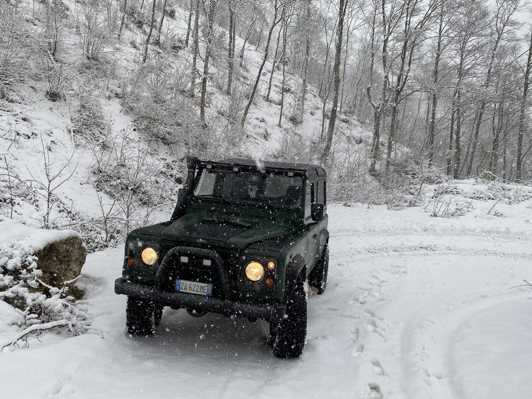 41C03CC8-9CE7-44EB-976D-D5D94761467A