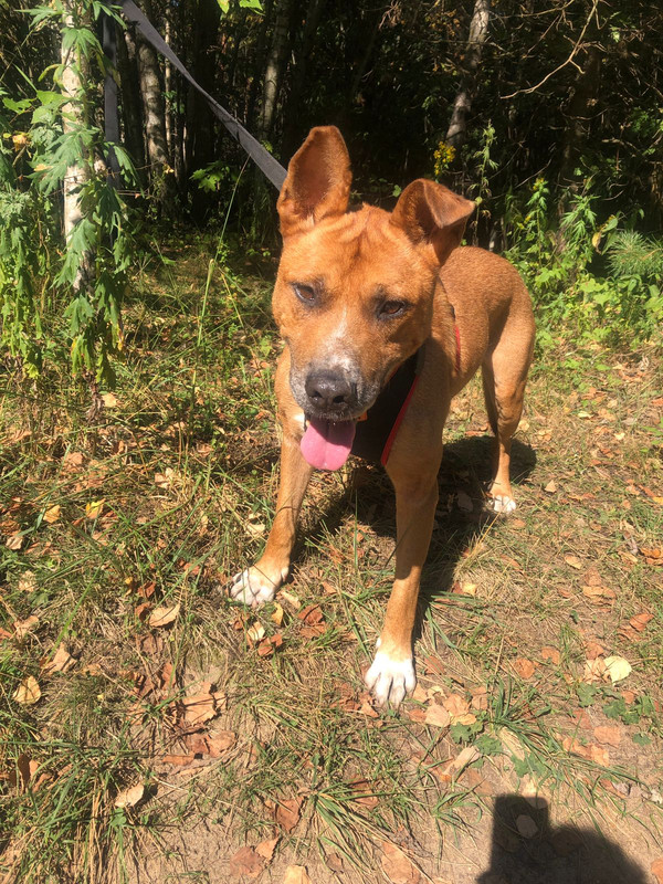 BCE4E49C-AF0F-4609-A99D-90626703B316