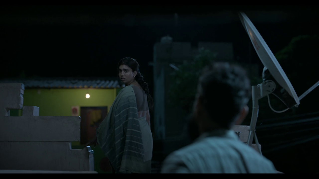 vlcsnap-2025-04-24-21h03m57s579