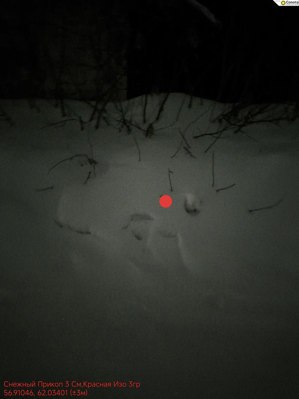 SAVE 20260304 032639