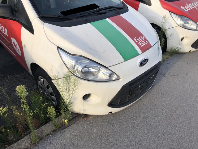 IMG_2158