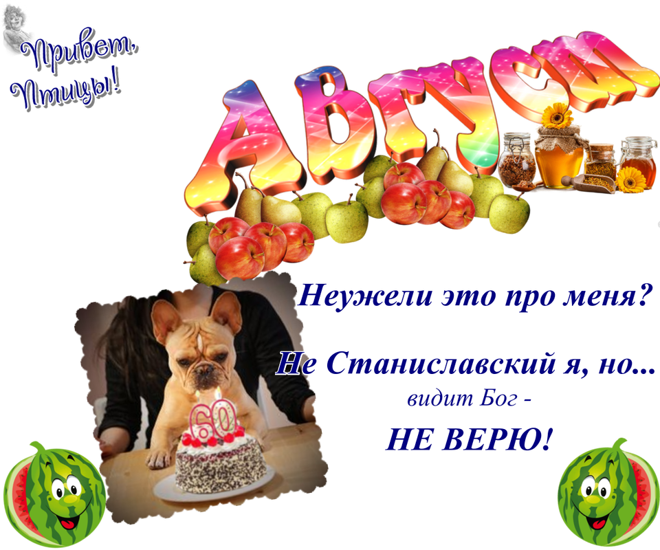 https://i.postimg.cc/pLB39NR6/24-08.png