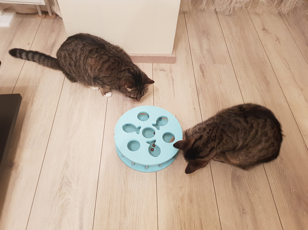 20190207-203317.jpg