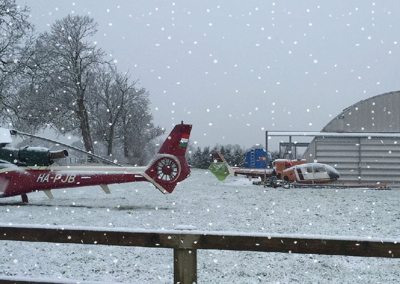 Gazelles at Crab Tree Farm in 2016 (Snow Effect)