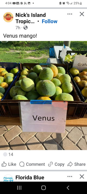 Screenshot_20240810-160442_Facebook