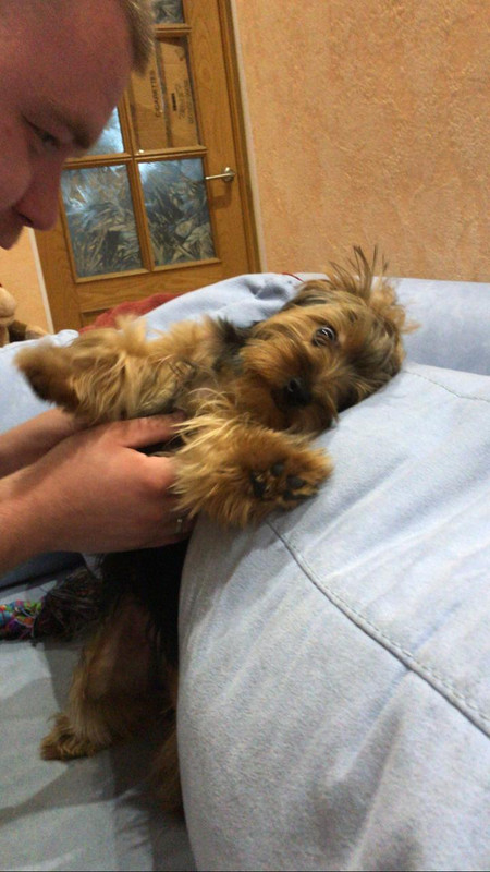 655464D8-BF16-4843-9C61-2A9CCB77484F