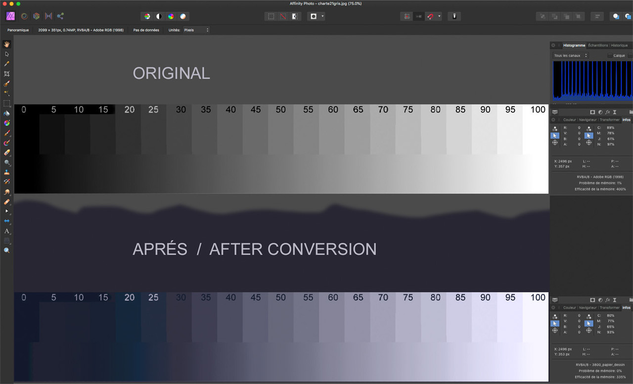 chartes_converties_bug_Mac
