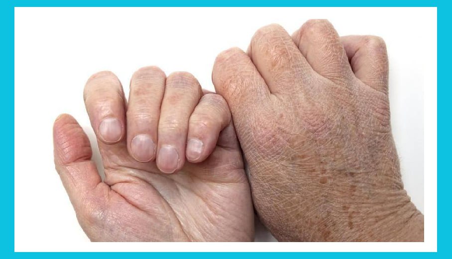 [Изображение: photo-2026-01-12-11-46-07.jpg]