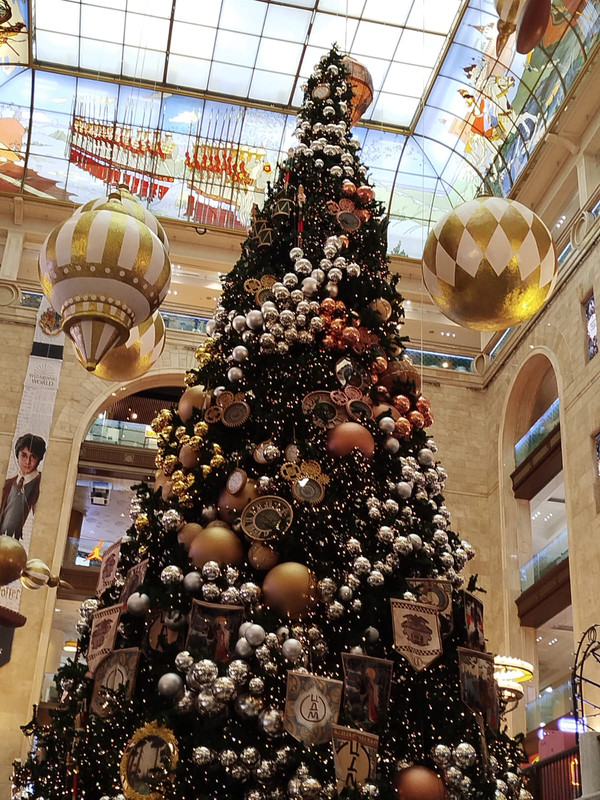 Ладья и Предновогодняя Москва 2025 147