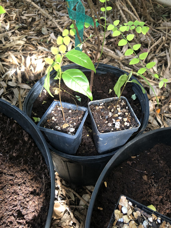 9FAF274E-F31B-4597-A344-2C8705F60EA7