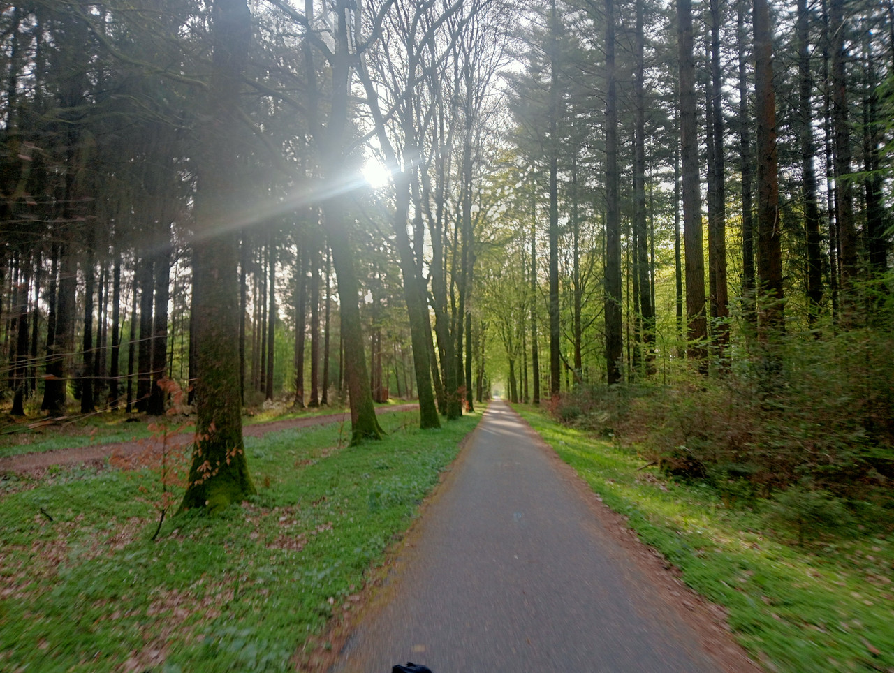 [Afbeelding: IMG20260427081213.jpg]