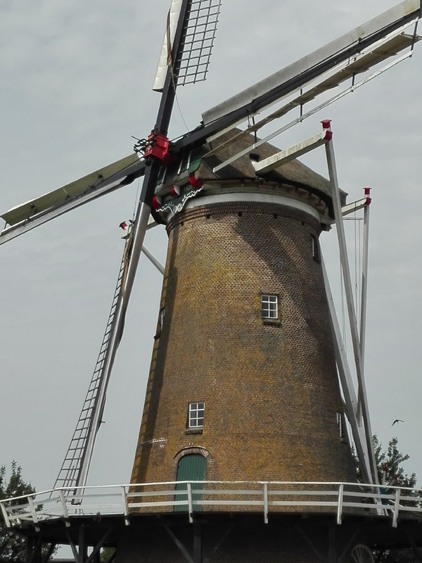 0252 GL (03907) De Hollandsche Molen - Neede 25