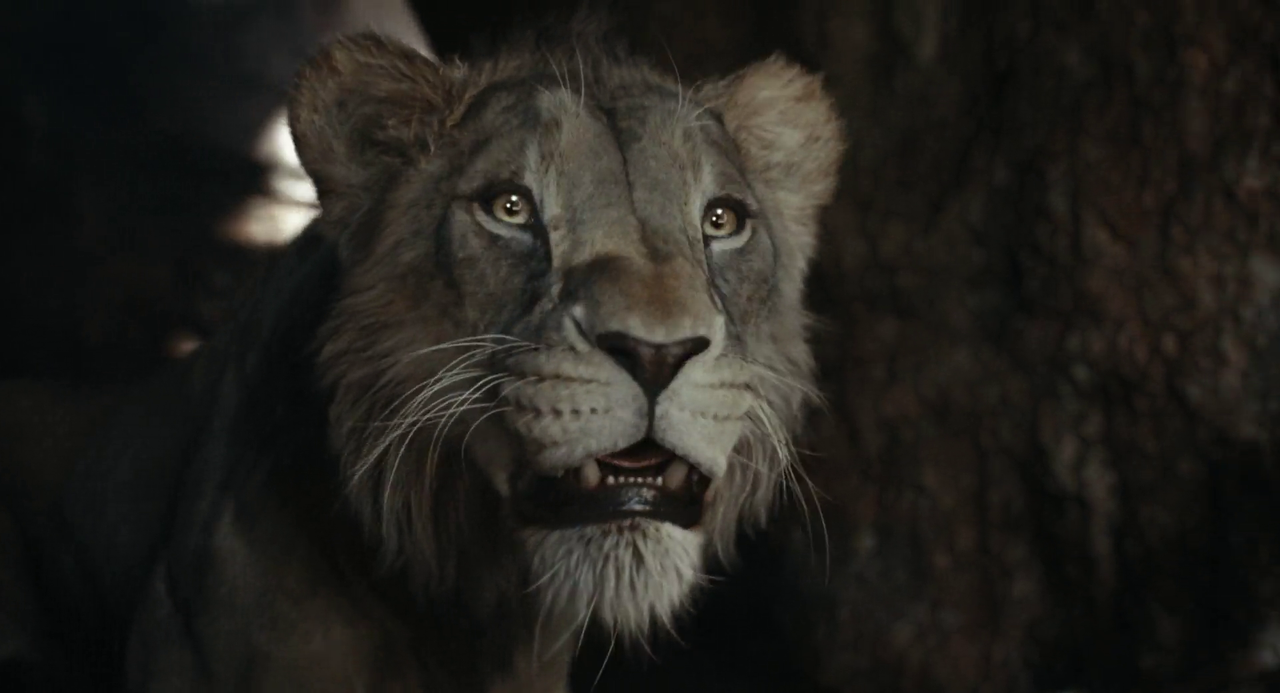 vlcsnap-2025-02-19-18h55m06s303