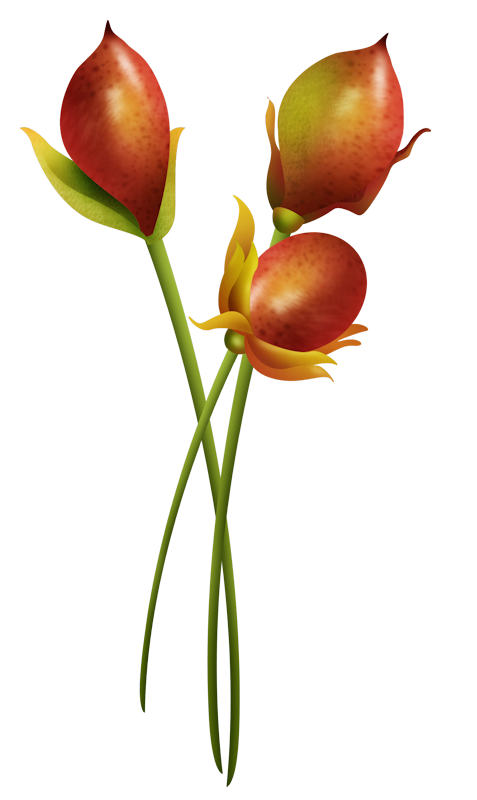 IPD_WP_Element (179)