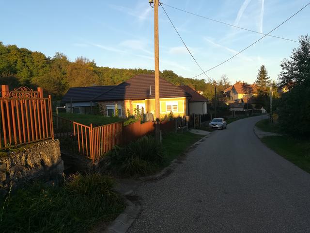Kép