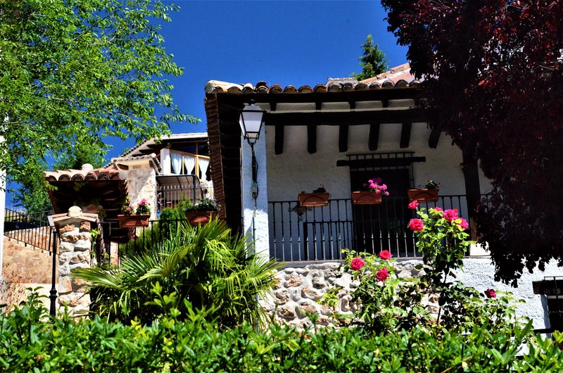 Madrid y sus pueblos-2000/2022 - Blogs of Spain - OLMEDA DE LAS FUENTES-5-6-2020 (27)