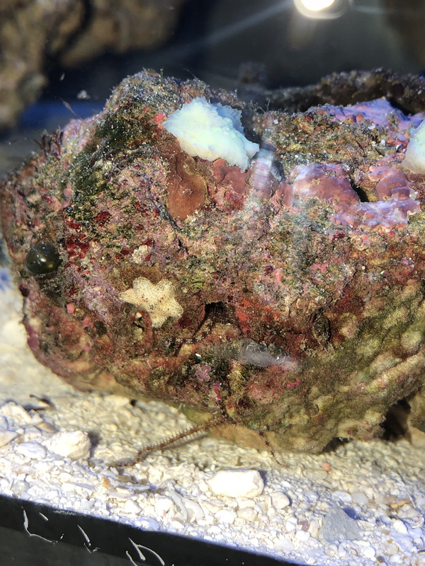 8DA03A3F-DE15-4879-B564-A165CA42025B