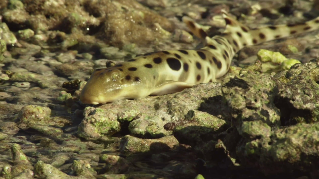 vlcsnap-2023-02-13-11h00m50s267