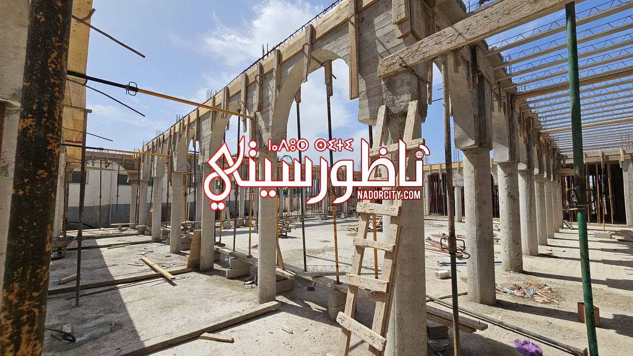 Whats-App-Image-2026-06-28-at-16-51-02-(9)