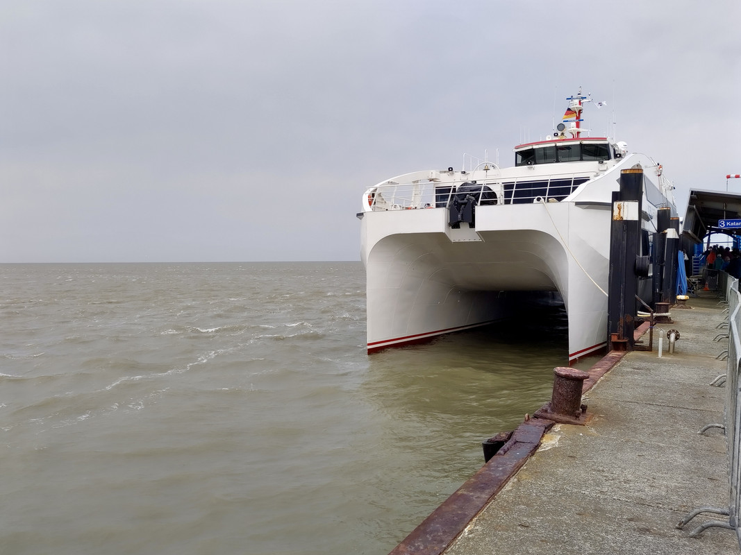 FC67E589-E4C2-46BB-869D-200C72B46D5D_1_201_a