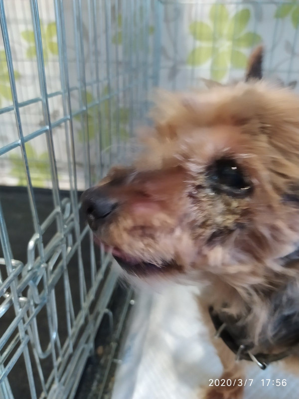 53BABE7A-371D-4546-B2A9-1AEFCE67318B