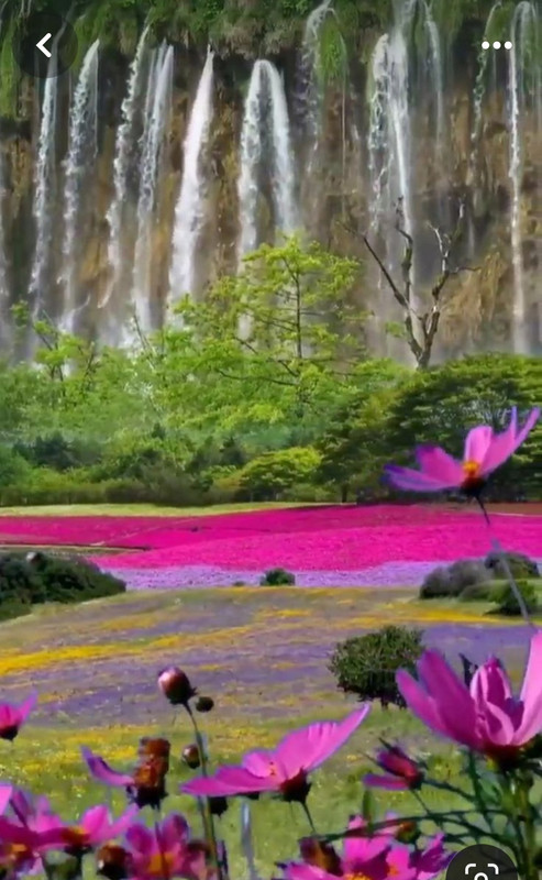 Screenshot_20240512_194359_Pinterest