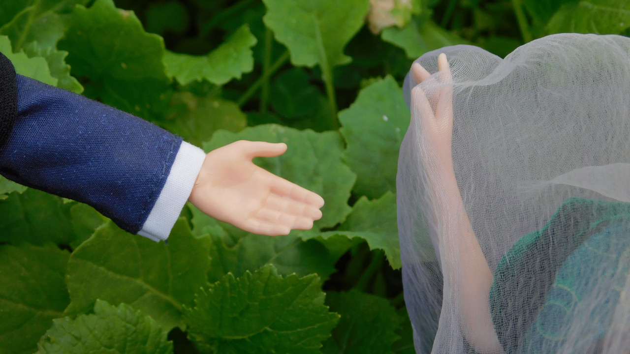 Дачное и  к Хелл сентябрь 2023 092