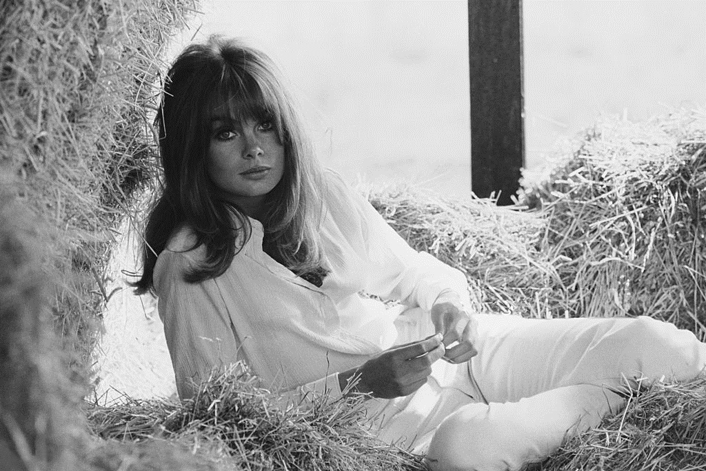 jean_shrimpton_md92