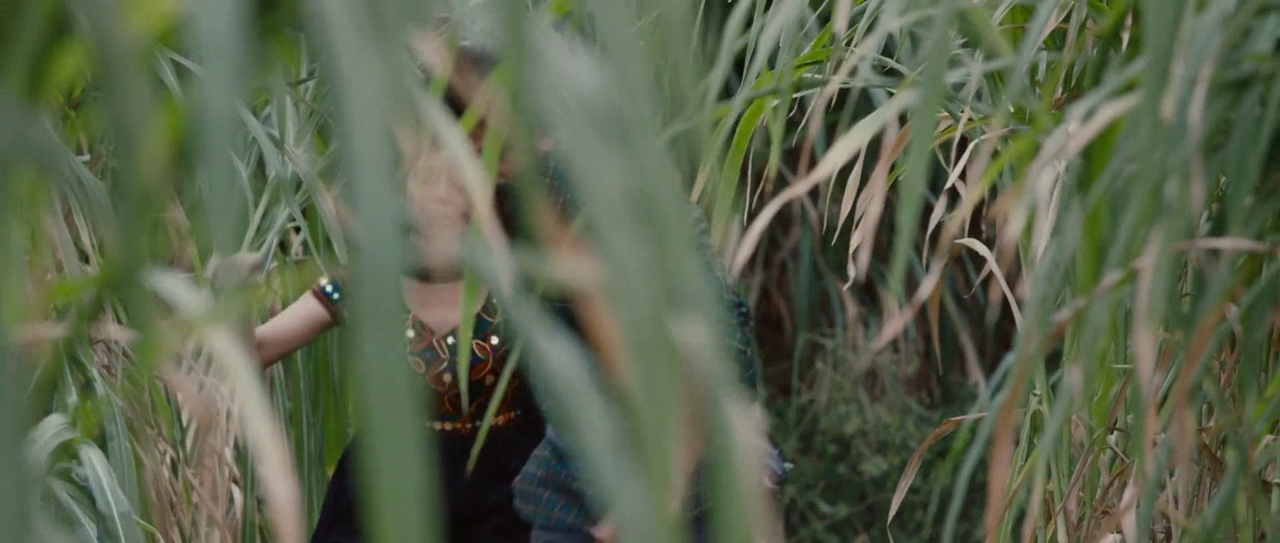 vlcsnap-2025-08-30-17h57m40s157