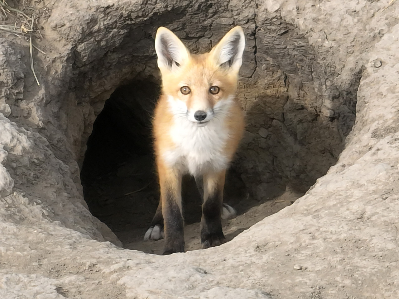 dji fly 20250709 171406 264 1752103738631 photo 053035