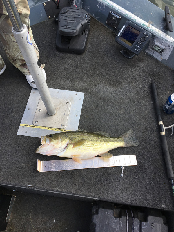 455BE363-B3AD-4DF3-A0FC-777BA16AD079