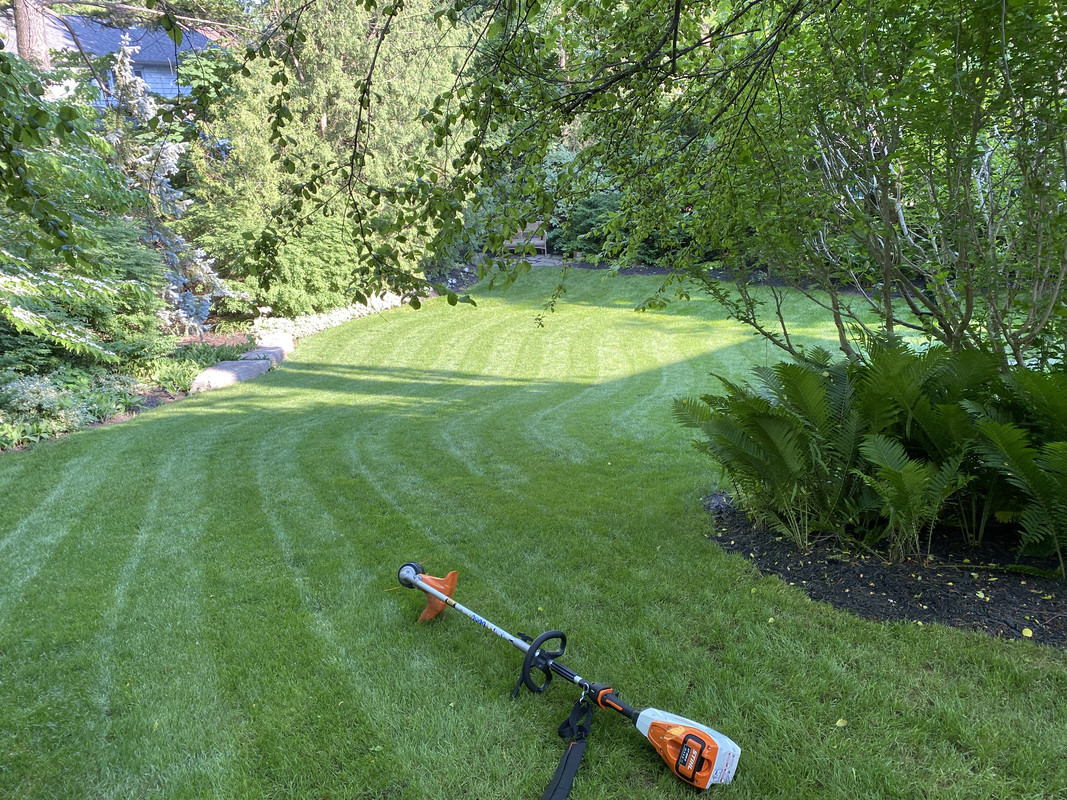 241FD75A-4CF4-45B6-AB03-403C769D7551