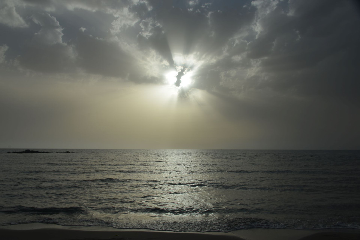 DSC-8810.jpg