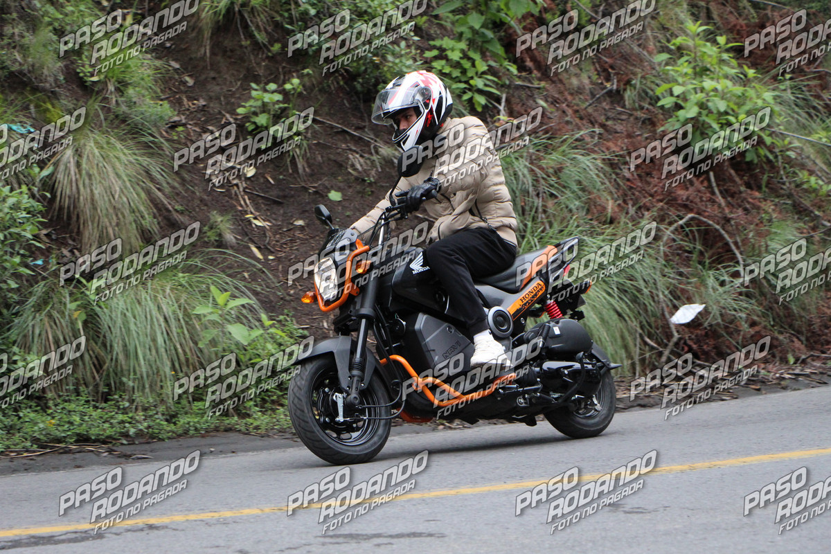 IMG_9701-wm-70079.79999999999_watermarked