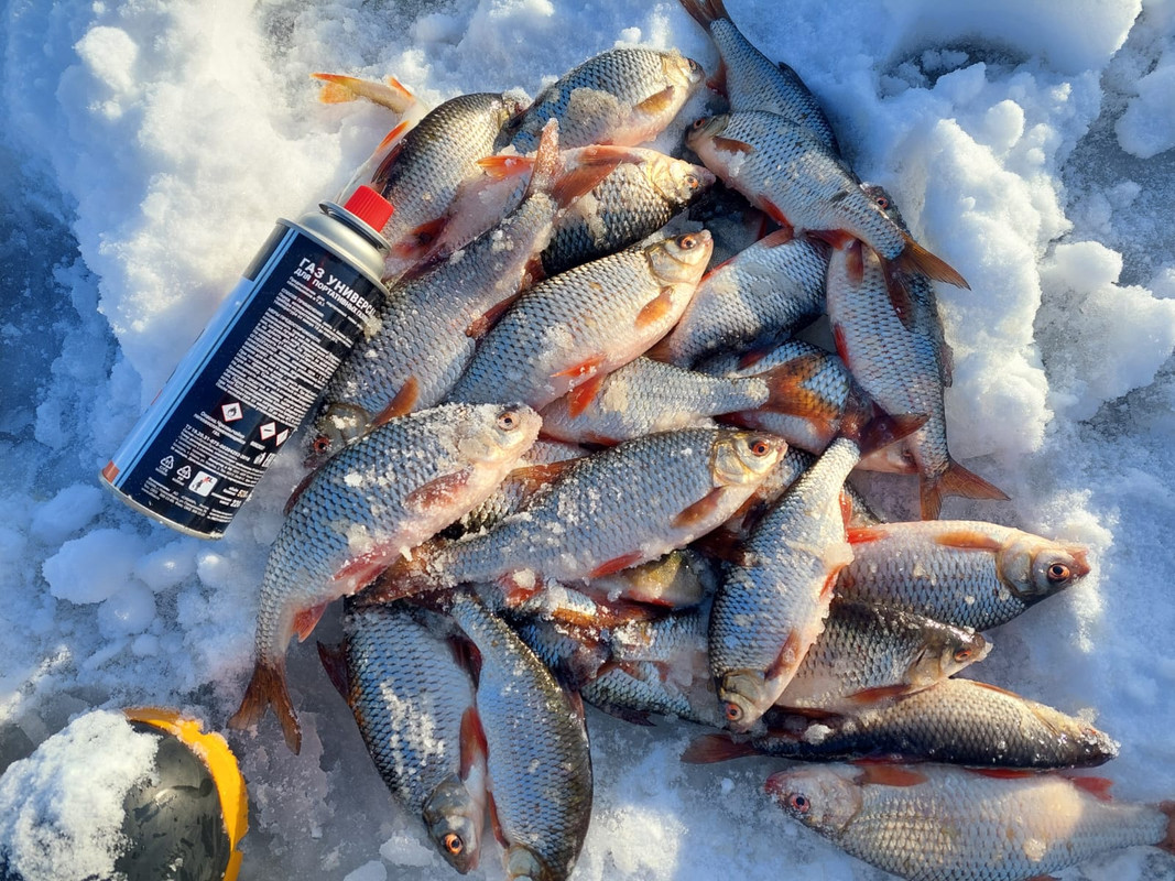 Изображение WhatsApp 2023-11-27 в 14.01.12_82bab138