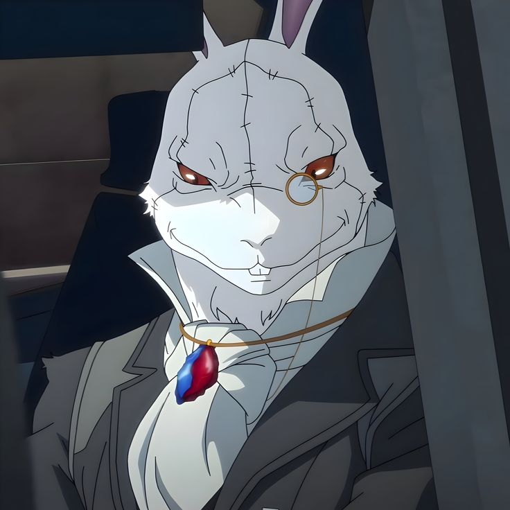 white rabbit