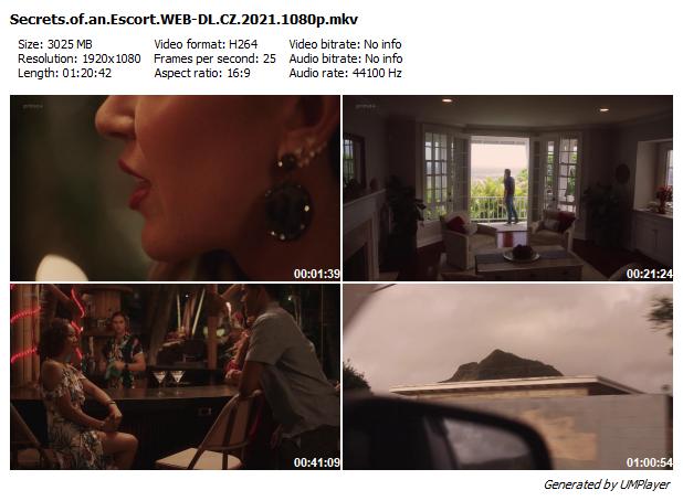 Rozdvojená / Secrets of an Escort (2021)