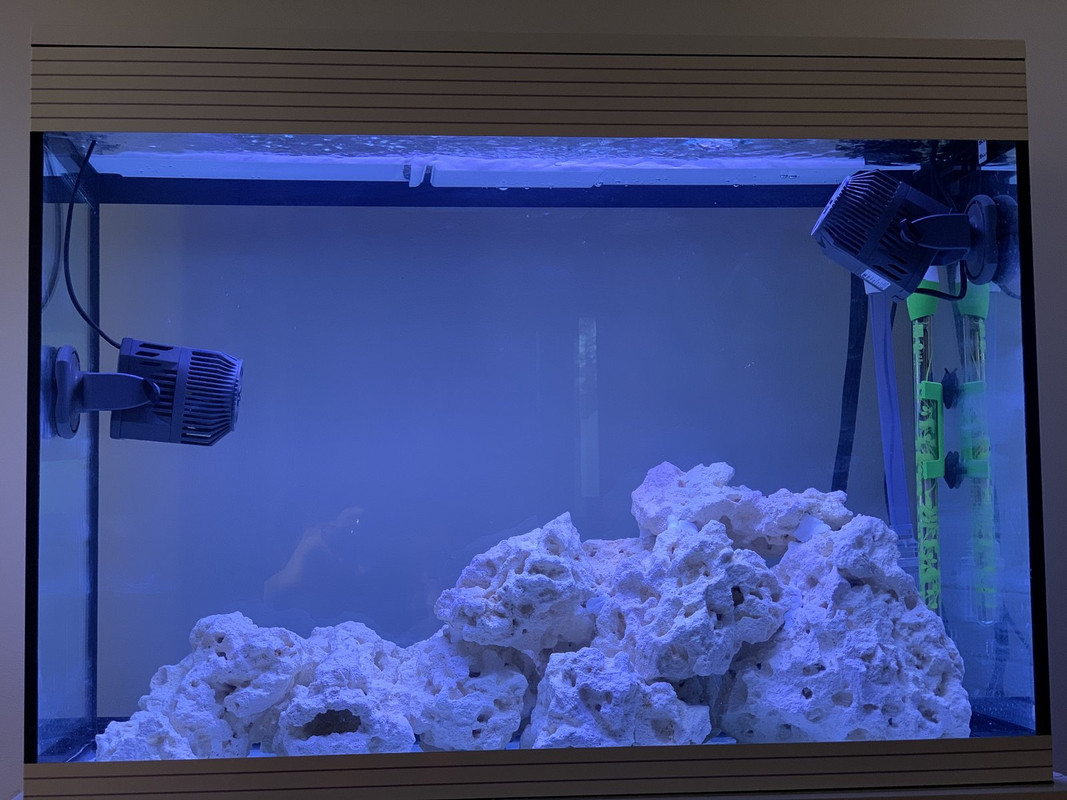 068CFC73-7D41-4AD3-9CAF-E3A6165B372A