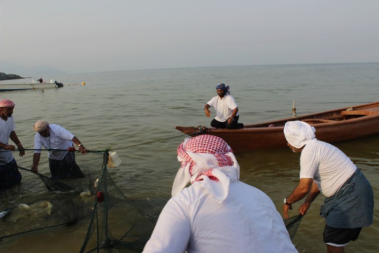 بحضور الشيخ سعيد القاسمي افتتاح