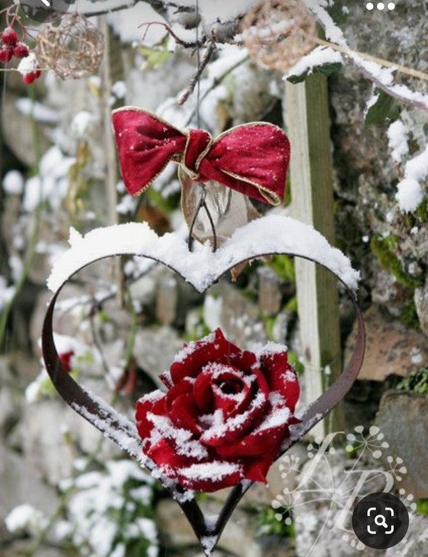 Screenshot_20231019_204109_Pinterest