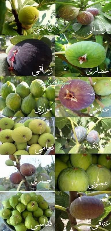 photo_2024-01-07_17-30-17 (3)